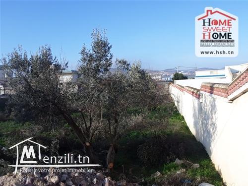 Terrain Techno A Vendre A Ariana