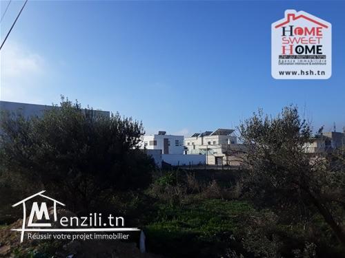 Terrain Techno A Vendre A Ariana