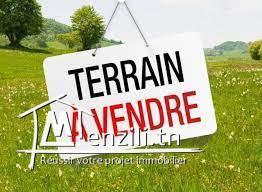 terrain a vendre à Alain savary