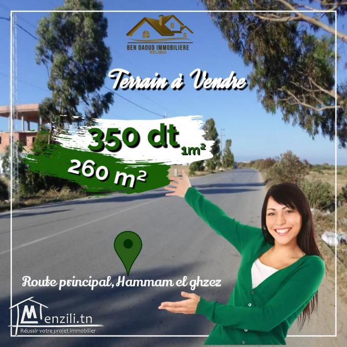 terrain a vendre  a hamem laghzez