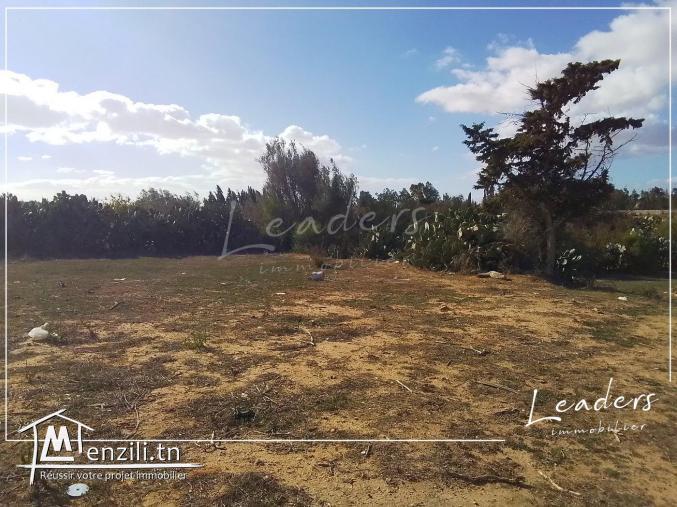 تحب على ارض تعمل فيها دار في الحمامات 27246306