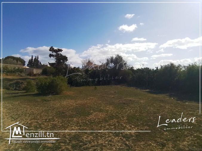 تحب على ارض تعمل فيها دار في الحمامات 27246306