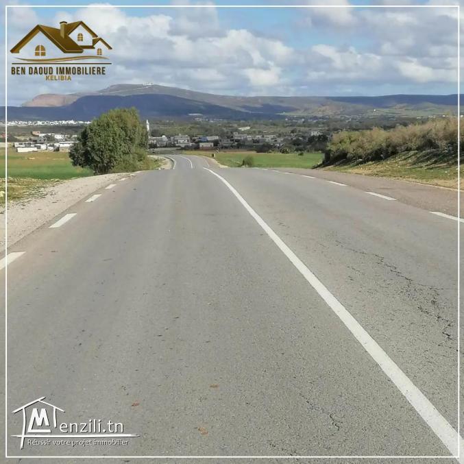 terrain a vendre  a hawaria 99679470