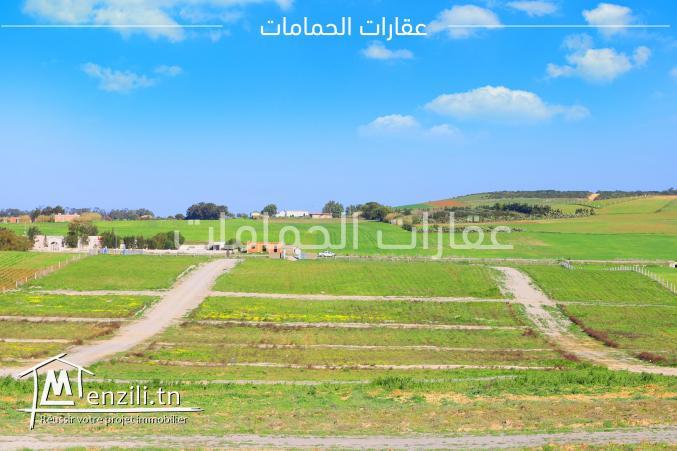 #terrain à 5min de #plage hammam leghzez ????