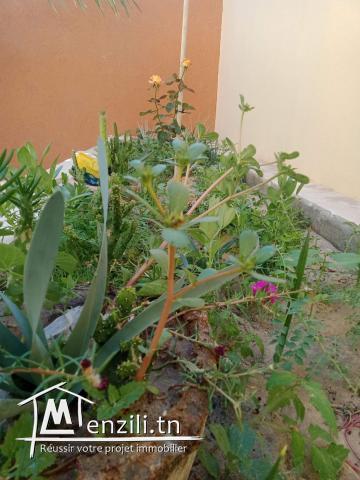 Tozeur/ zone touristique