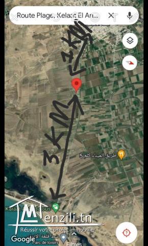 قطعة أرض صالحة البناء (وثيقة ملكية فردية)