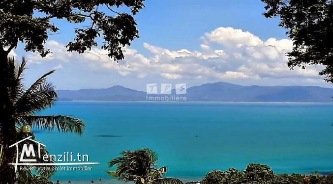 Terrain ELYES (Réf: T1010)