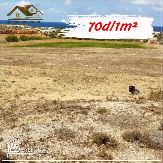 terrain a vendre a borej salhi 99679470
