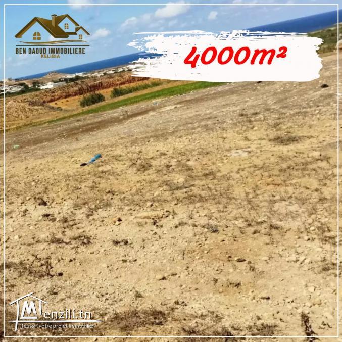 terrain a vendre a borej salhi 99679470