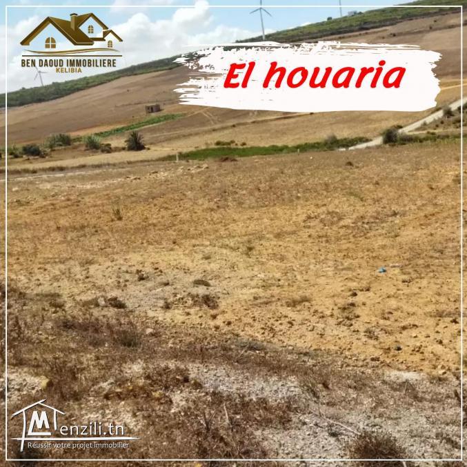 terrain a vendre a borej salhi 99679470