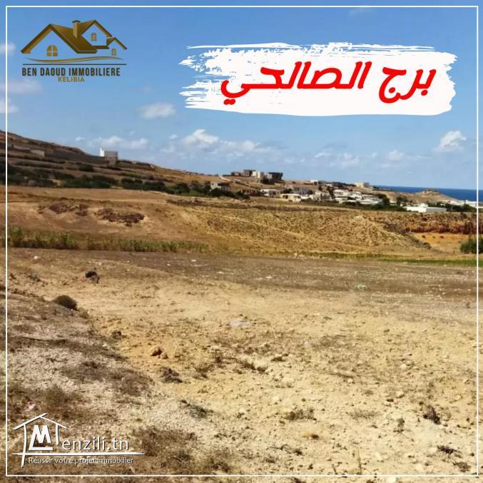 terrain a vendre a borej salhi 99679470