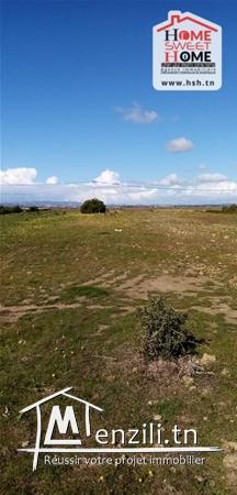 Terrain Cyclodex A Vendre A Borj Touil