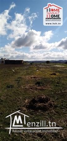 Terrain Cyclodex A Vendre A Borj Touil