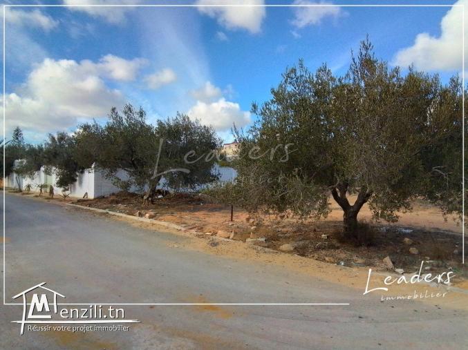 260 متر للبيع في حمامات الشمالية