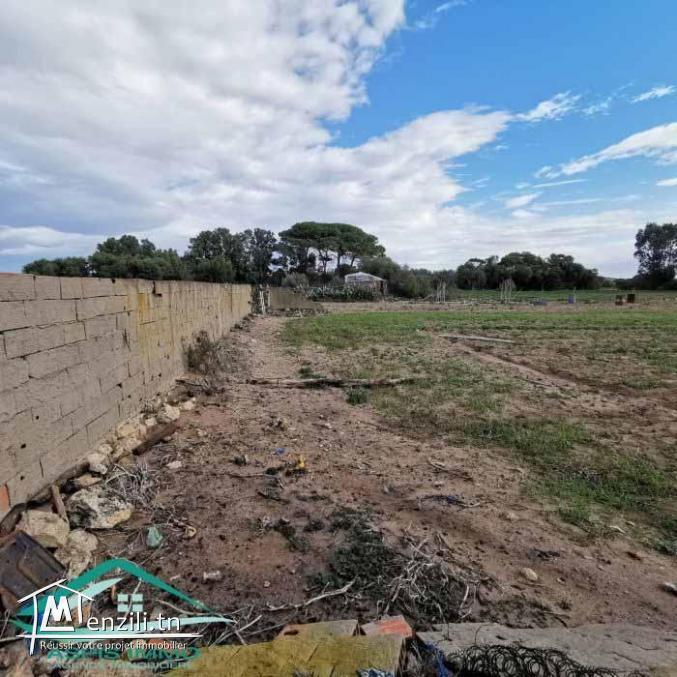 VT778Terrain agricole 5396 m² à hammam ghzez