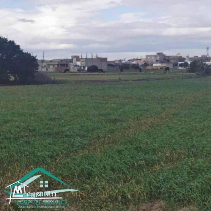 VT778Terrain agricole 5396 m² à hammam ghzez