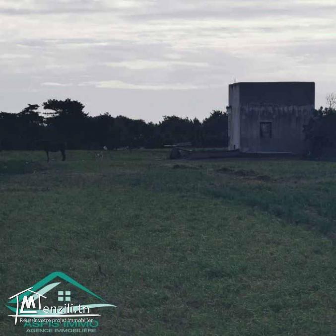 VT778Terrain agricole 5396 m² à hammam ghzez