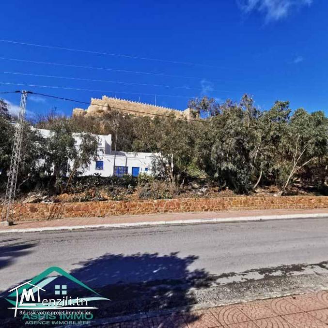 VT780Terrain  d'habitation 290 m² en face de fort kelibia
