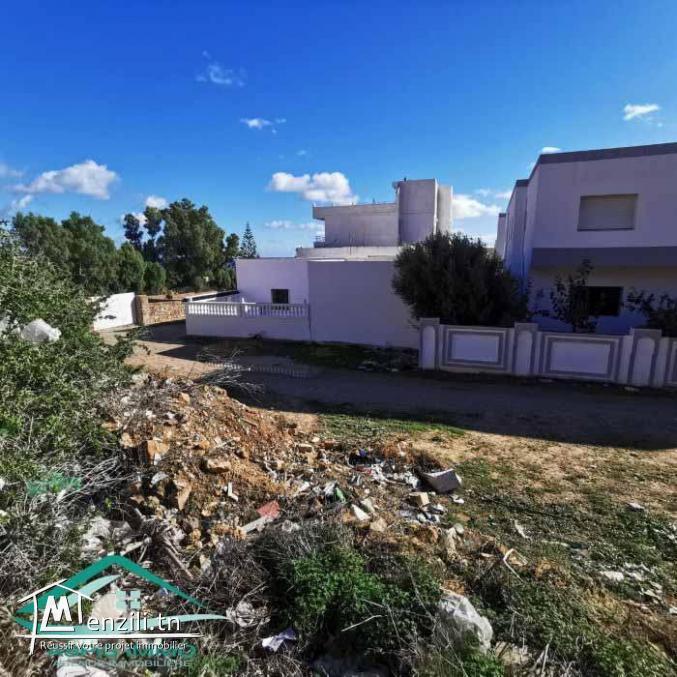 VT780Terrain  d'habitation 290 m² en face de fort kelibia