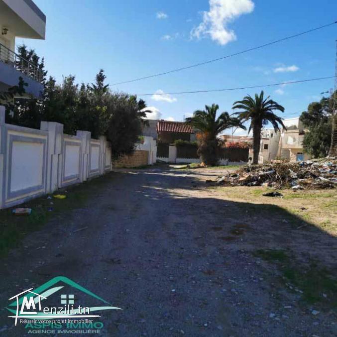 VT780Terrain  d'habitation 290 m² en face de fort kelibia