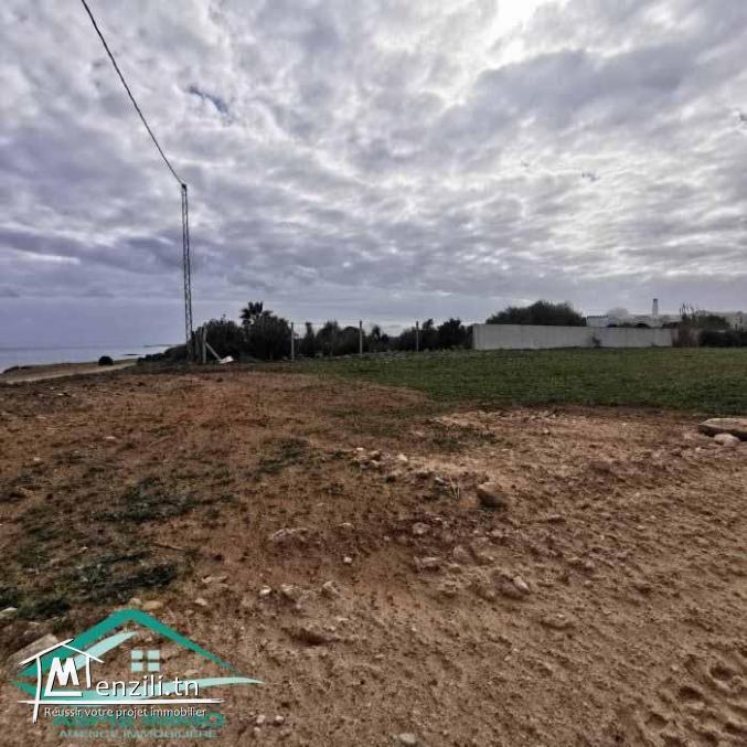 VT782Des terrains à Dar Allouche