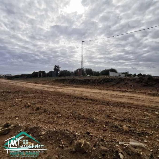 VT782Des terrains à Dar Allouche