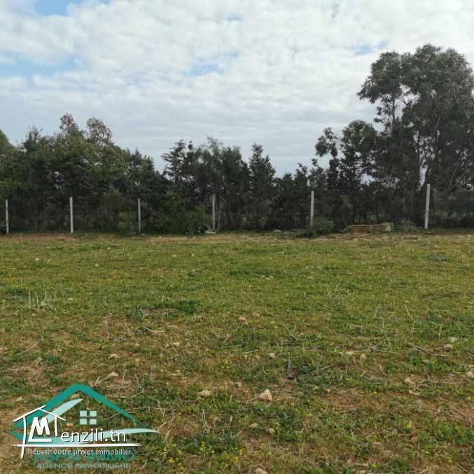 VT782Des terrains à Dar Allouche