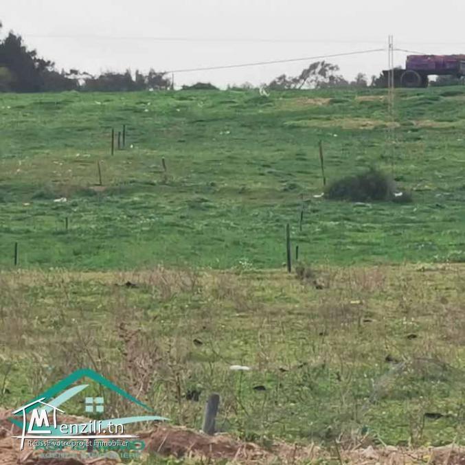 VT782Des terrains à Dar Allouche