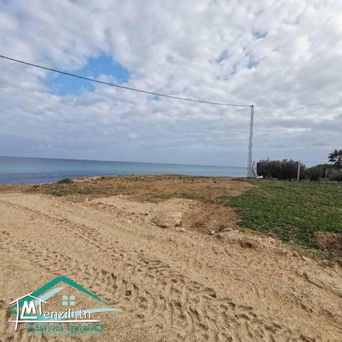 VT783Des terrains pieds dans l'eau à Dar Allouche