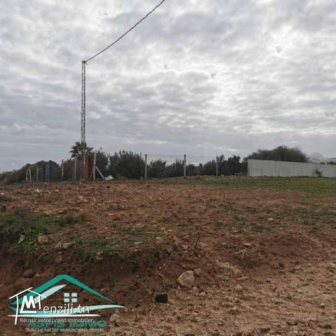 VT783Des terrains pieds dans l'eau à Dar Allouche