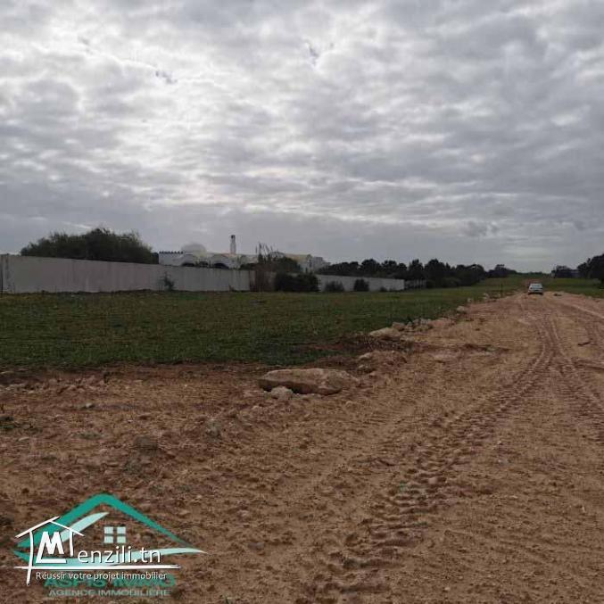 VT783Des terrains pieds dans l'eau à Dar Allouche
