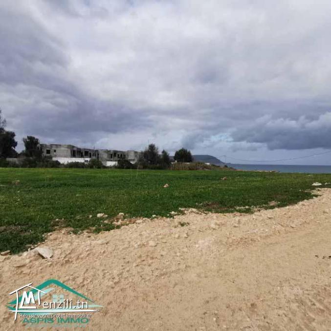 VT783Des terrains pieds dans l'eau à Dar Allouche