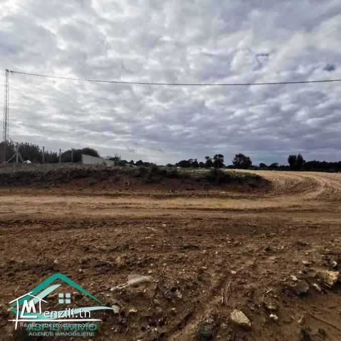 VT783Des terrains pieds dans l'eau à Dar Allouche