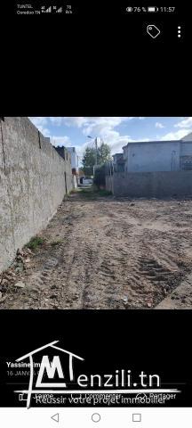 Terrain à vendre à tinja