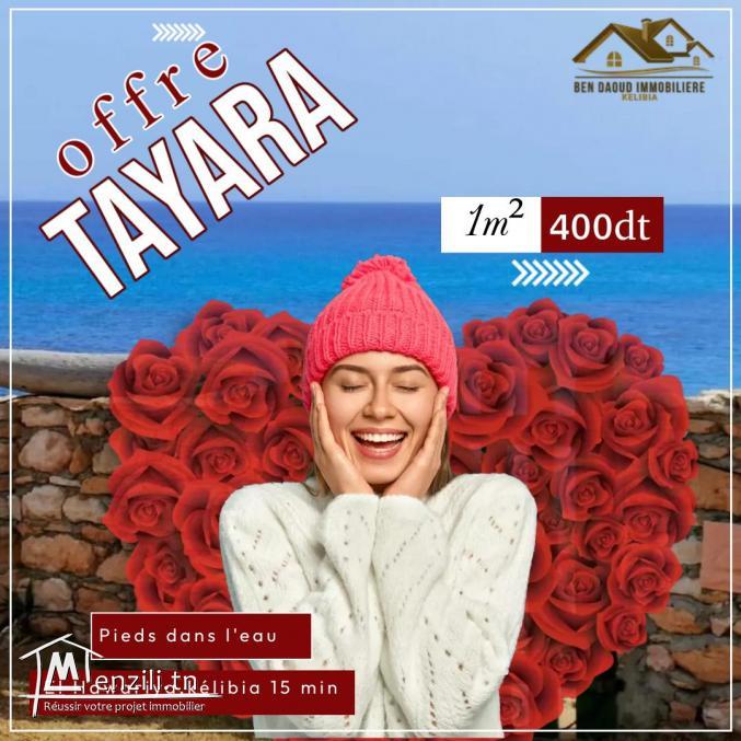 terrain a vendre pied dans leau