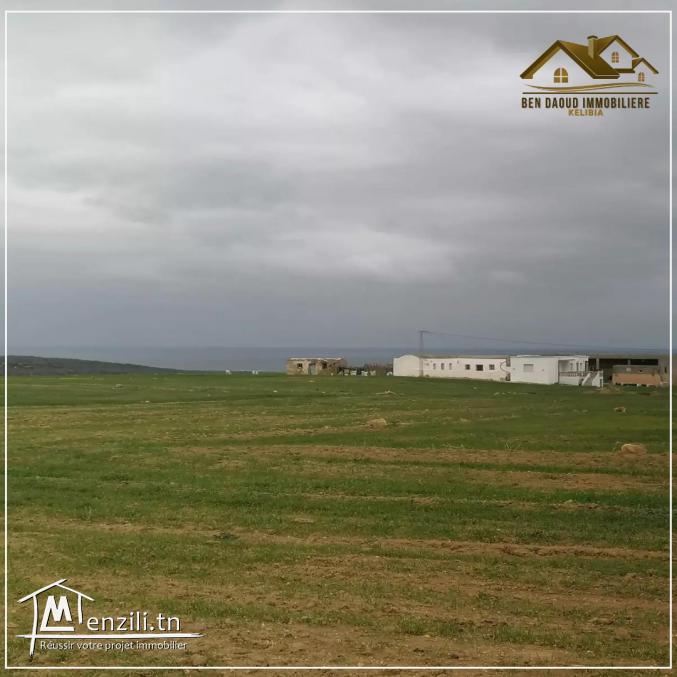 terrain a vendre  a bir jadi el hawaria