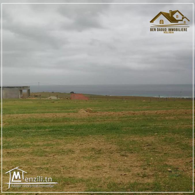 terrain a vendre  a bir jadi el hawaria