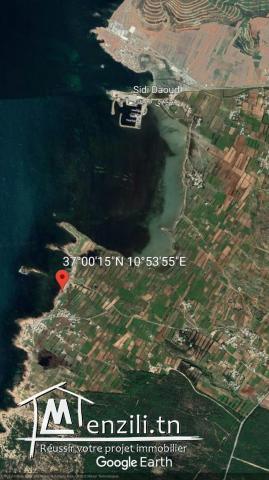 DAR ARBI A LA PLAGE SIDI DAOUD ELHAOUARIA