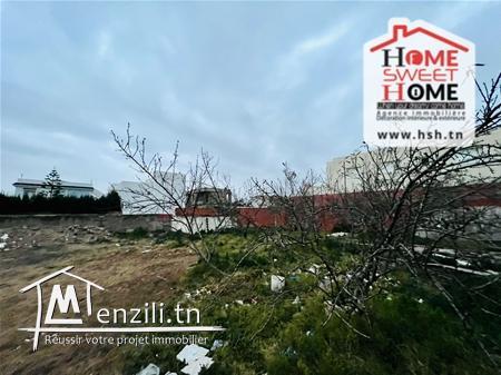 Terrain Taline à Vendre à L'Aouina