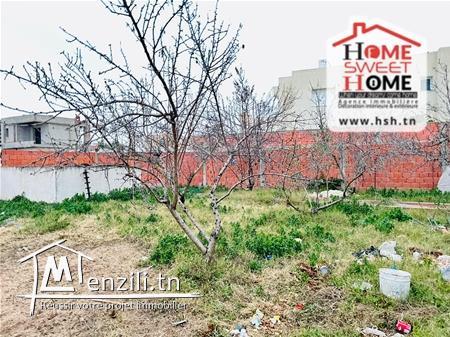 Terrain Taline à Vendre à L'Aouina