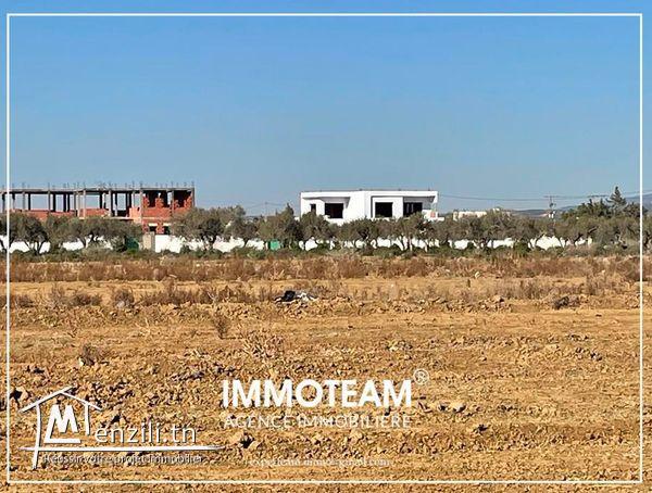 Un beau terrain a vendre de 1000  m2