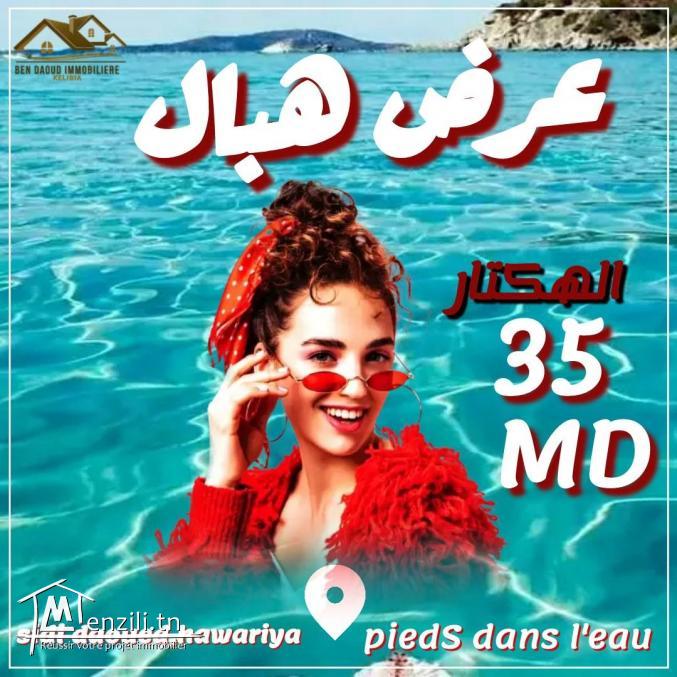 hectare a vendre a sidi daoued 99679470