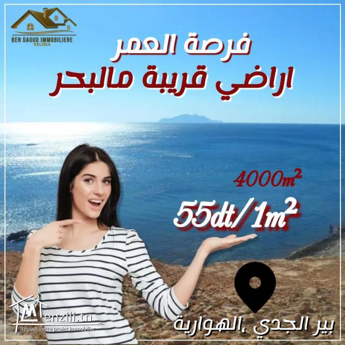 terrain a vendre a bir jadi 99679470