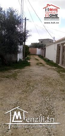 Terrain Petra A Vendre A Borj Touil