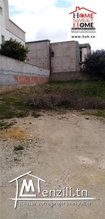 Terrain Petra A Vendre A Borj Touil