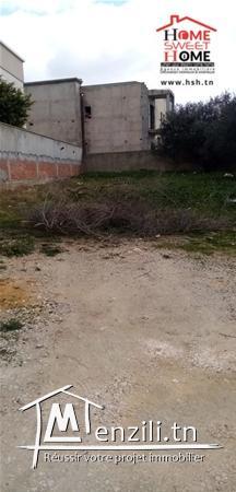 Terrain Petra A Vendre A Borj Touil