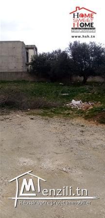 Terrain Petra A Vendre A Borj Touil