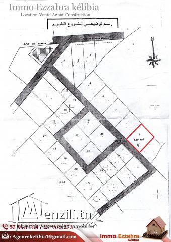 Nouveau terrain à ezzahra Surfaces : 520 m²