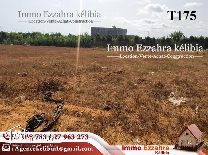 Nouveau lotissement  à  #Dar_Allouch