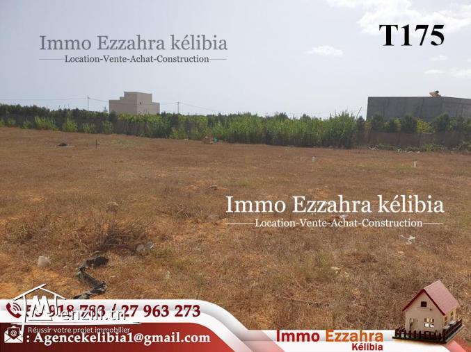 Nouveau lotissement  à  #Dar_Allouch